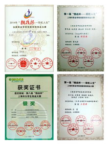 數(shù)字化浪潮下的會計專業(yè) 數(shù)字內(nèi)容制作服務(wù)的機(jī)遇與挑戰(zhàn)